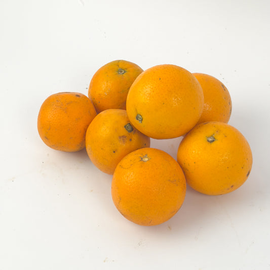 Laranja Pêra Orgânica