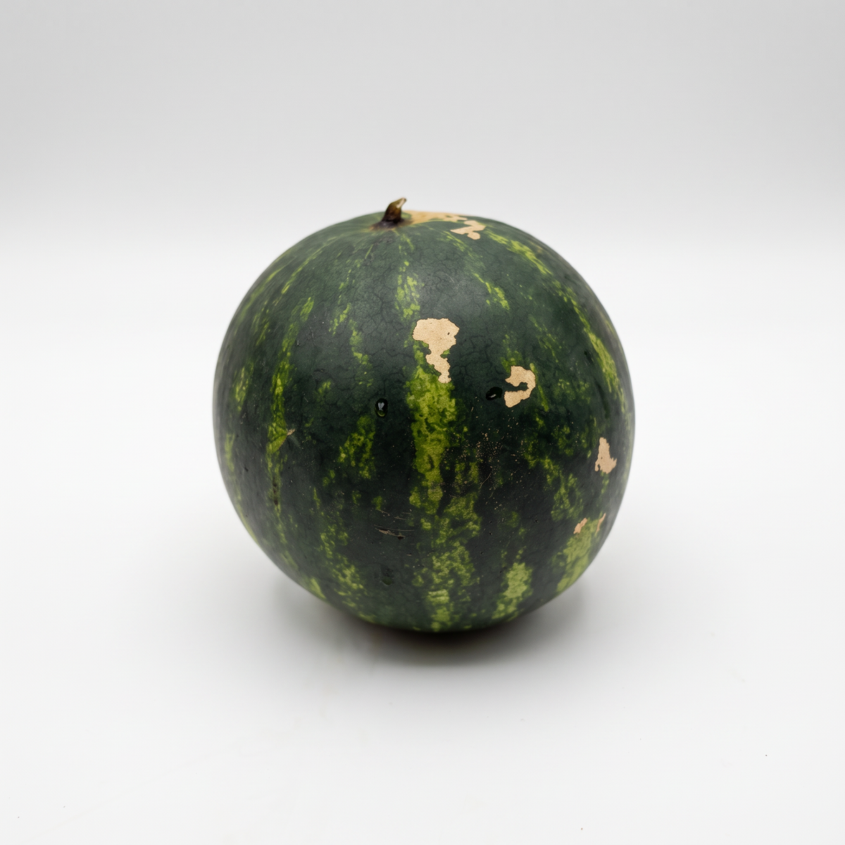 Melancia Mini Orgânica - unidade 2,8kg a 3,5kg (FEIRINHA)