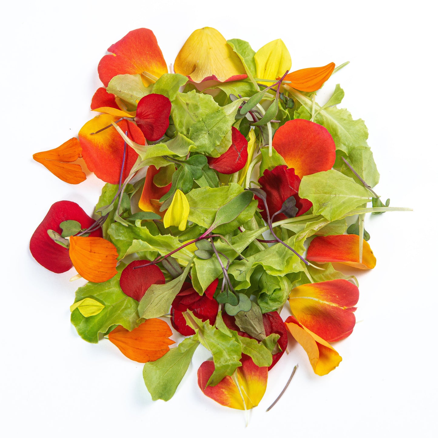 Salada Mesclun de Baby Leaves com Pétalas de Flores Orgânicas