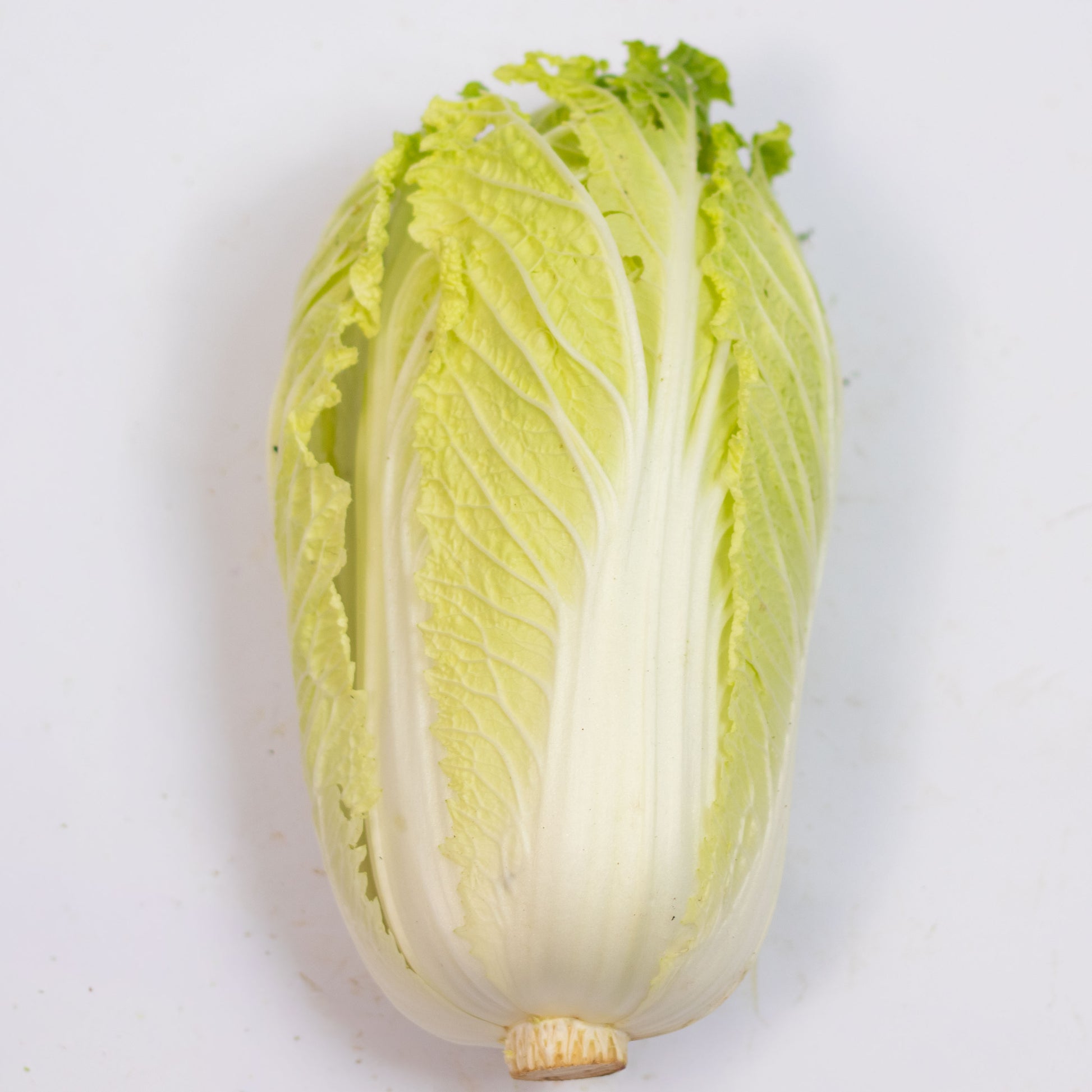 Acelga (couve china) orgânica