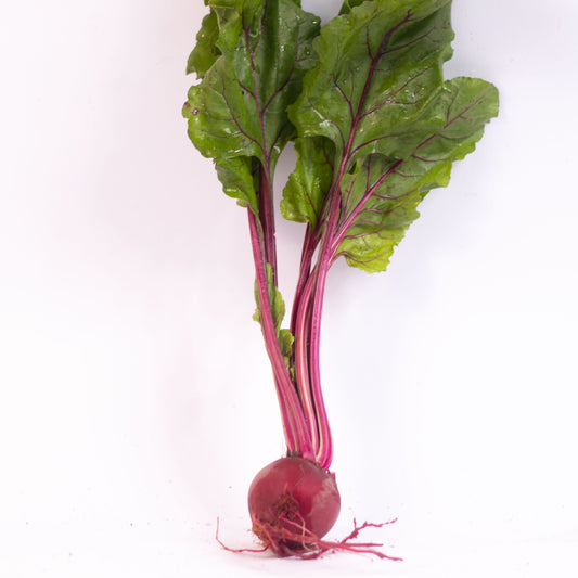 Mini Beterraba Orgânica