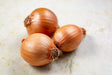 Cebola Orgânica