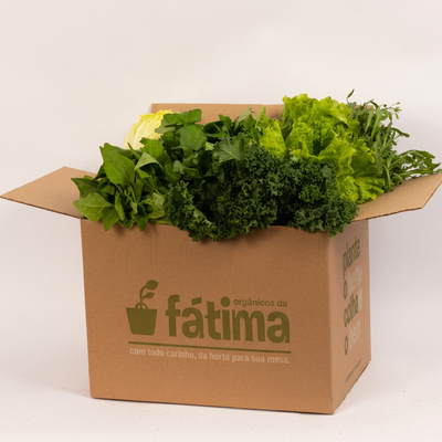 Cesta de Folhas - 4 Folhagens + 1 Microgreen (Principal Shopify)