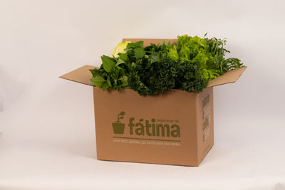 Cesta de Folhas - 4 Folhagens + 1 Microgreen (Principal Shopify)