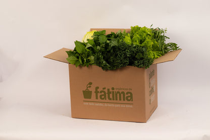 Cesta de Folhas - 4 Folhagens + 1 Microgreen (Principal Shopify)