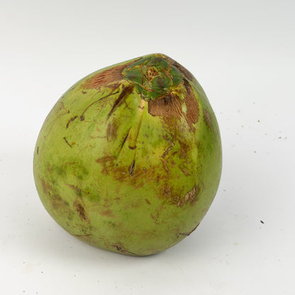 Coco Verde Orgânico