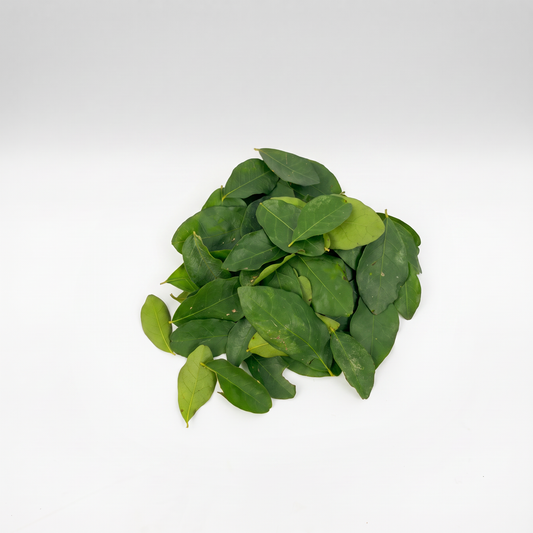 Folha de Acerola Orgânica
