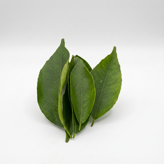 Folha de Laranja Orgânica