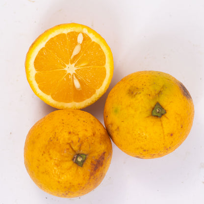 Laranja Lima Orgânica