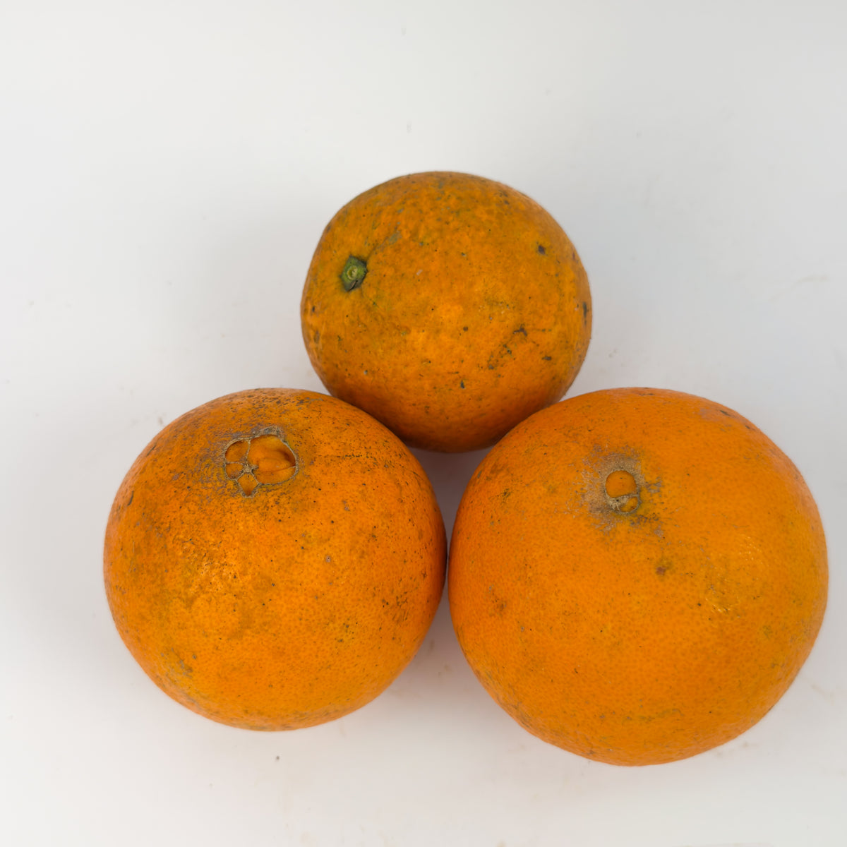 Laranja Bahia Orgânica