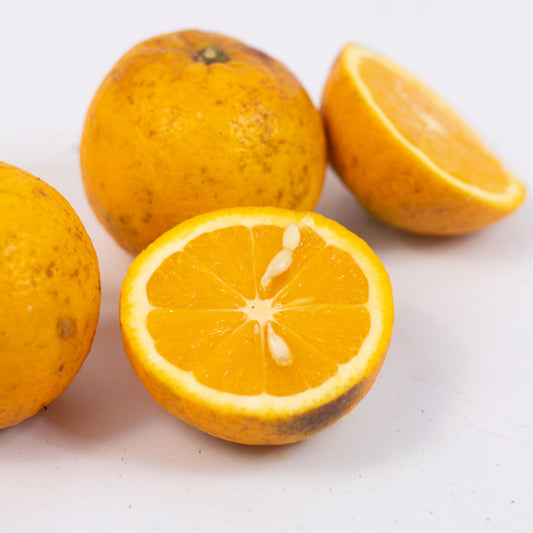 Laranja Lima Orgânica