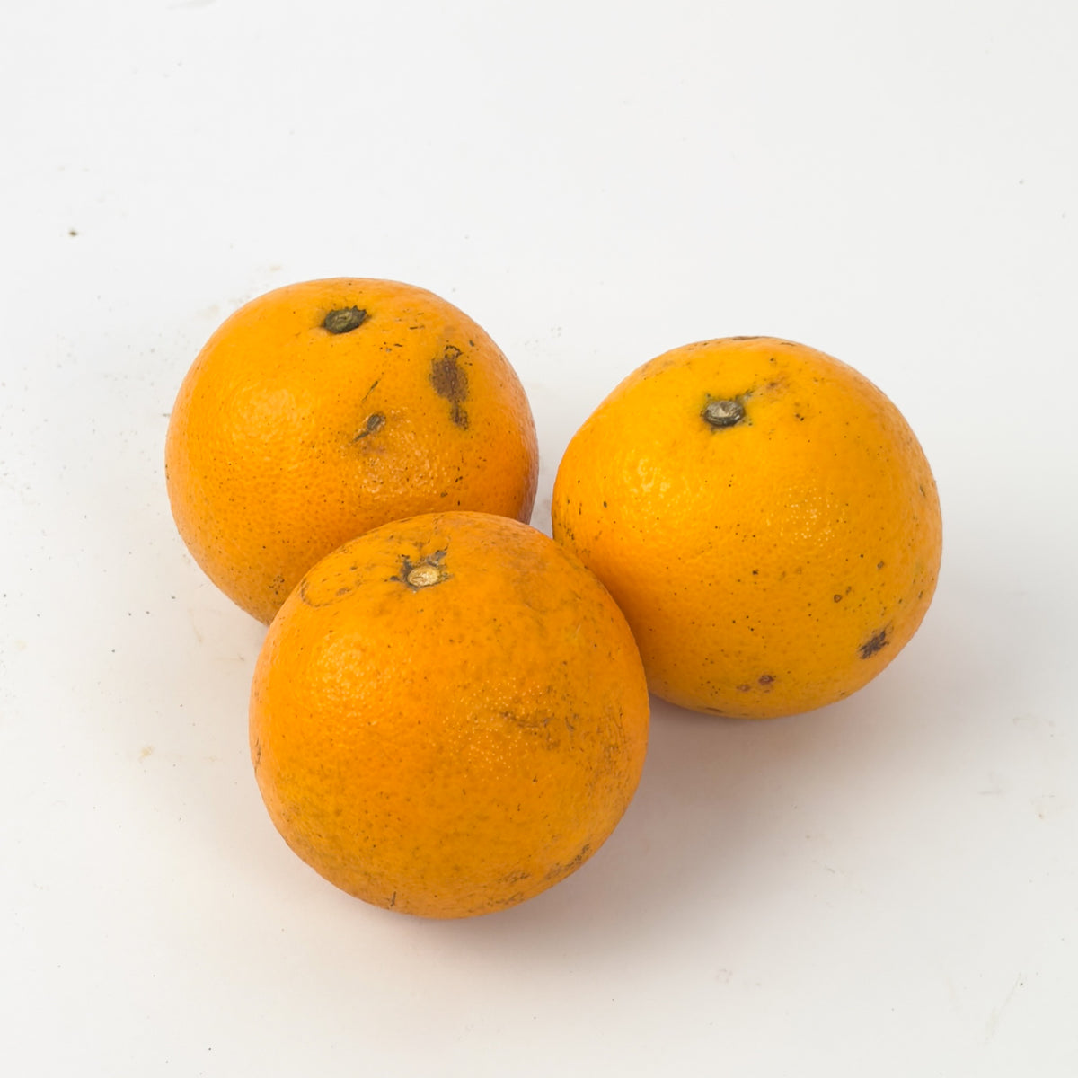 Laranja Pêra Orgânica