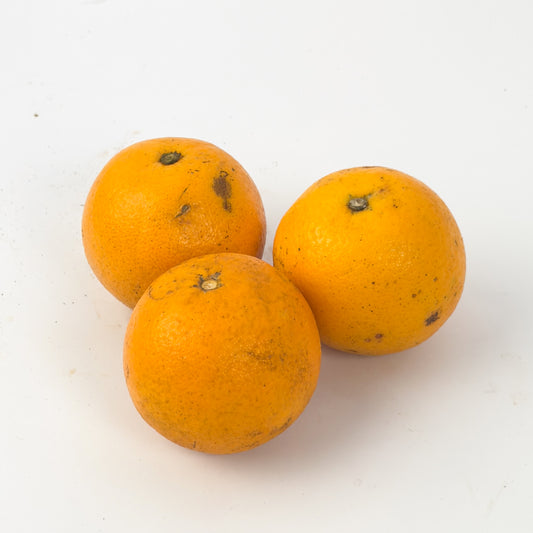 Laranja Pêra Orgânica