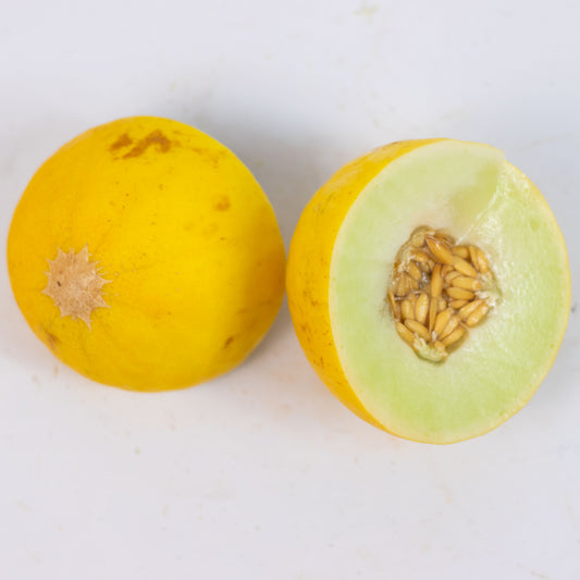 Melão Amarelo Orgânico