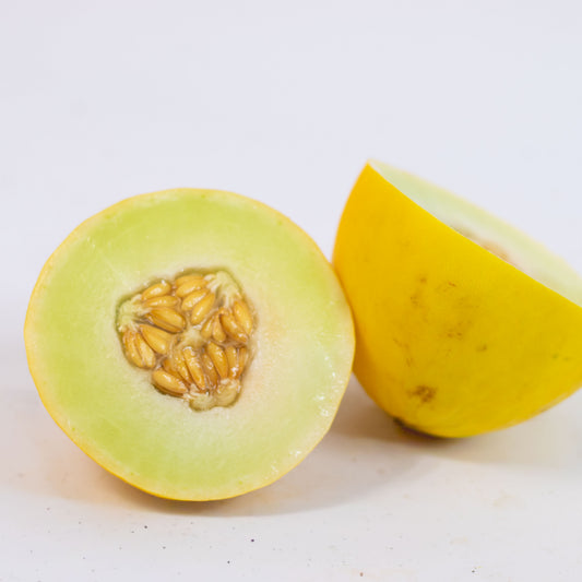 Melão Amarelo Orgânico