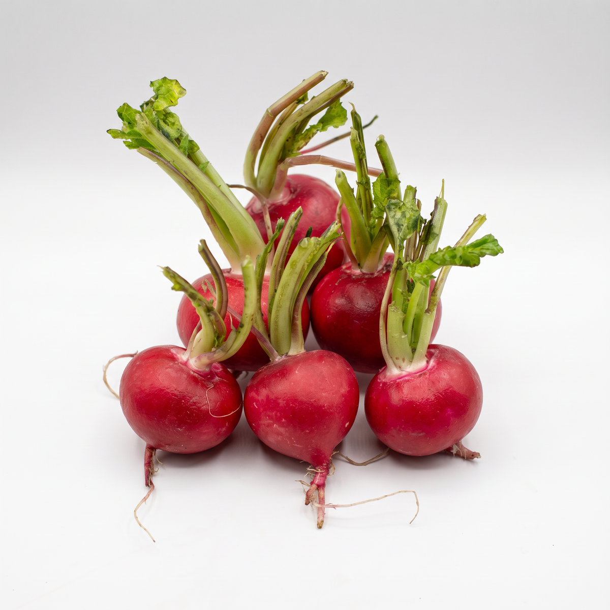 Mini Rabanete Orgânica