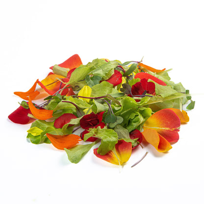 Salada Mesclun de Baby Leaves com Pétalas de Flores Orgânicas