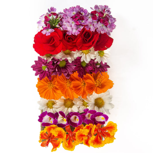 Mix de Flores Orgânicas