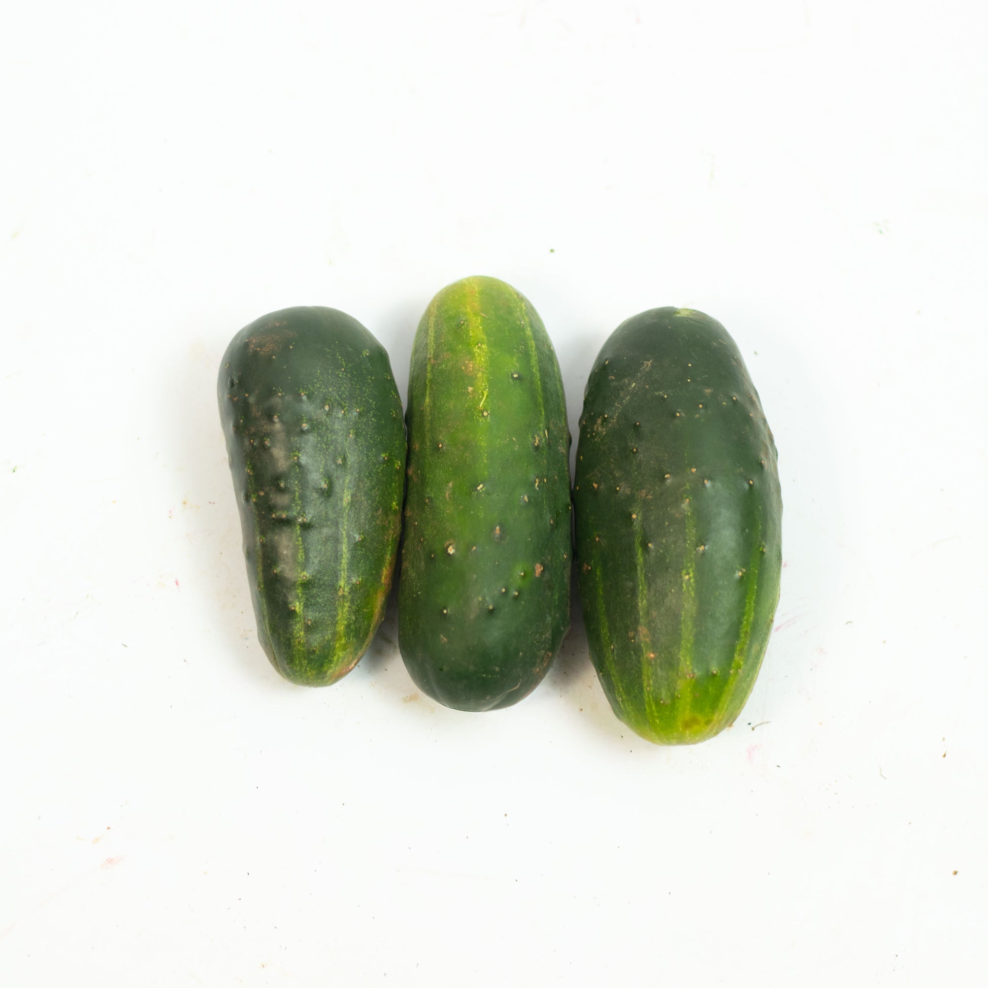 Pepino Caipira Orgânico