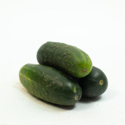 Pepino Caipira Orgânico