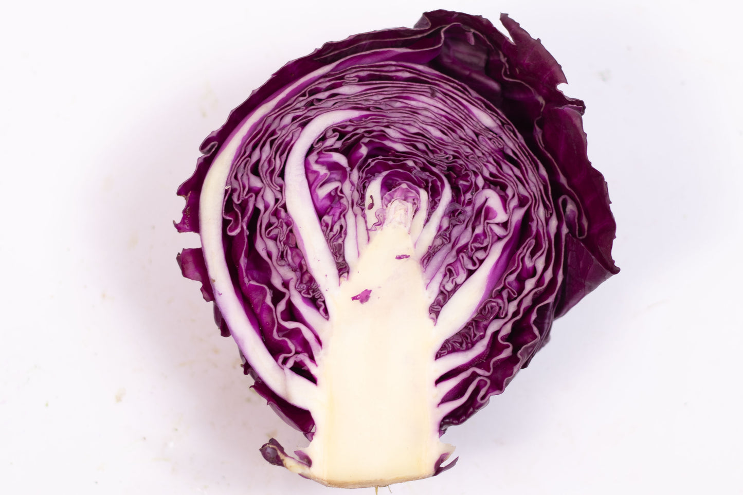 Repolho Roxo Orgânico