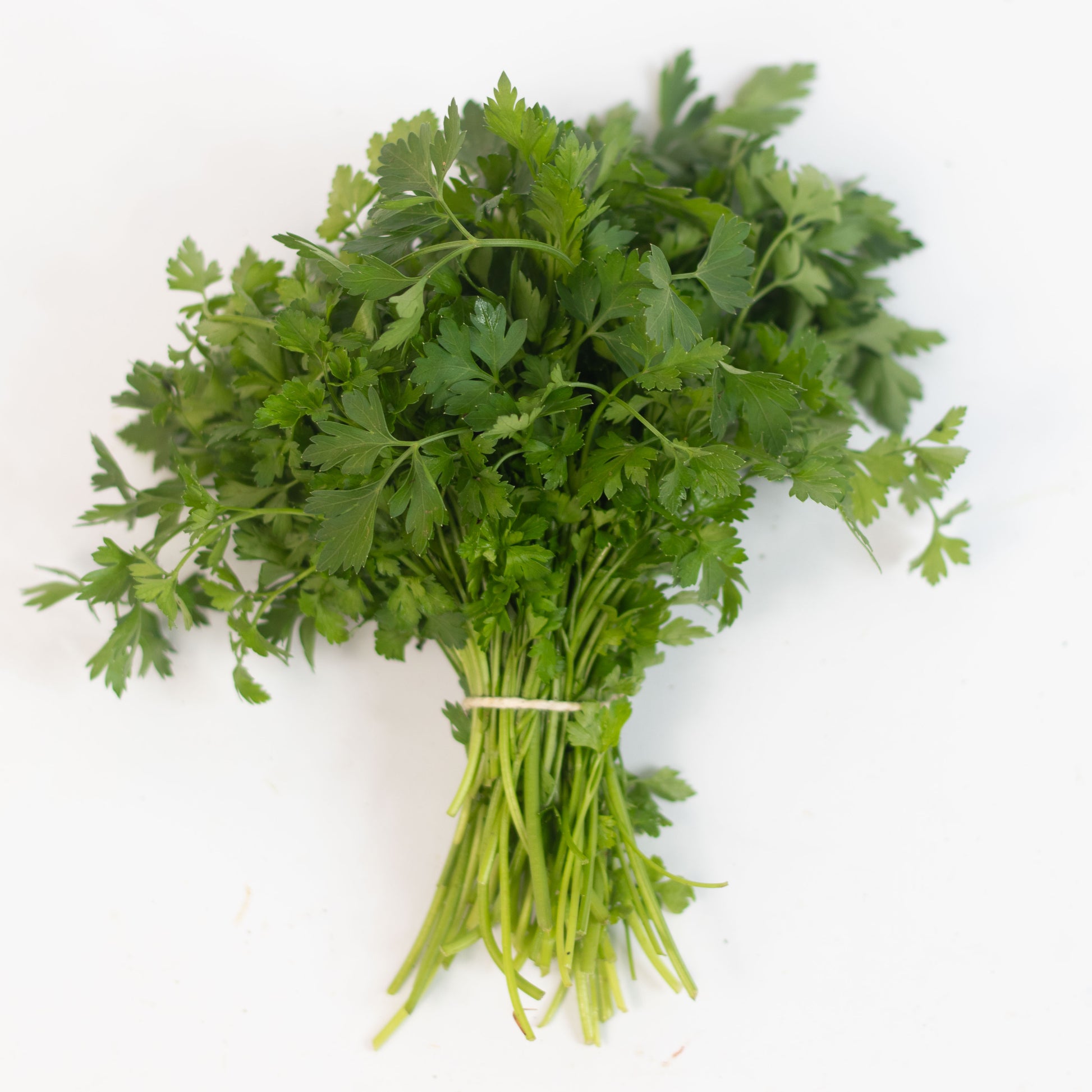 Salsa Orgânica