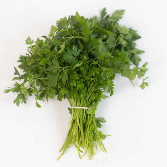 Salsa Orgânica