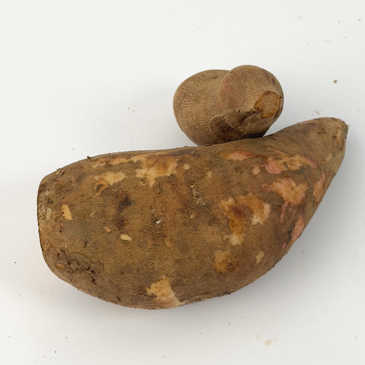 Batata Yacon Orgânica