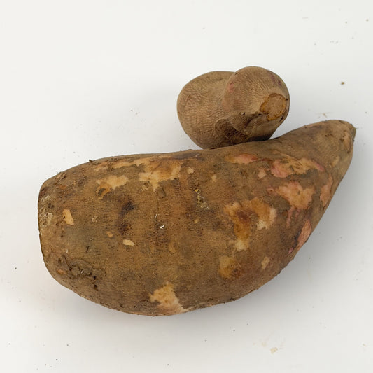 Batata Yacon Orgânica