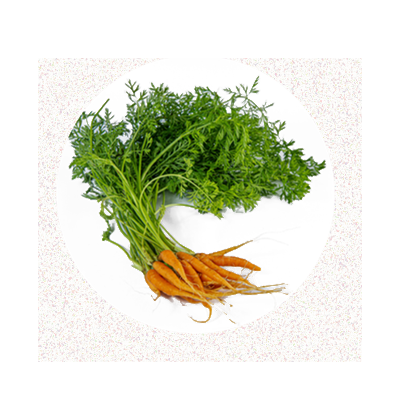 mini legumes